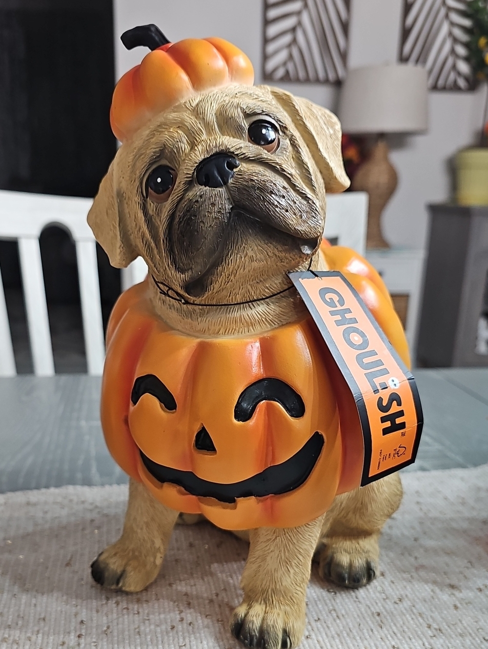 New! Ghoulish Halloween Dog Wearing Pumpkin Costume